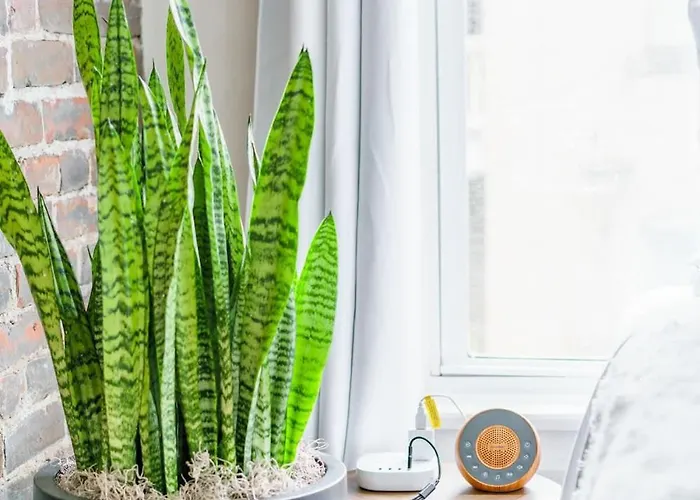 Сasa de vacaciones Bamboo By Jungle House Near Convention Center Osu & Nationwide Arena Walk To High Street Downtown & Short North 5 800 Reviews Private Parking Columbus