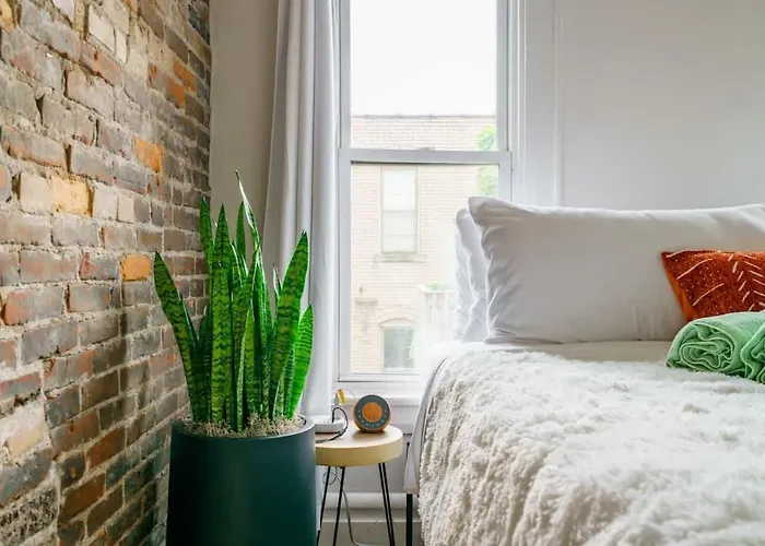 Сasa de vacaciones Bamboo By Jungle House Near Convention Center Osu & Nationwide Arena Walk To High Street Downtown & Short North 5 800 Reviews Private Parking Columbus