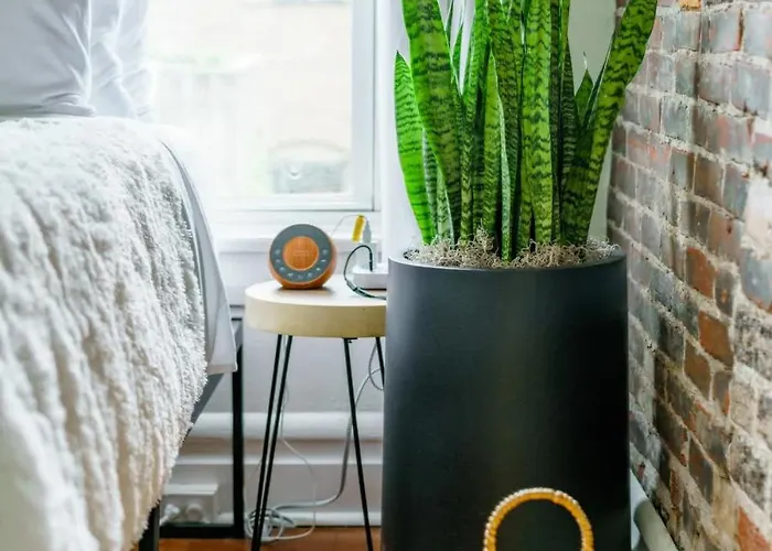 Bamboo By Jungle House Near Convention Center Osu & Nationwide Arena Walk To High Street Downtown & Short North 5 800 Reviews Private Parking Columbus