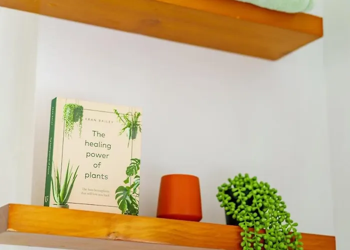 Bamboo By Jungle House Near Convention Center Osu & Nationwide Arena Walk To High Street Downtown & Short North 5 800 Reviews Private Parking